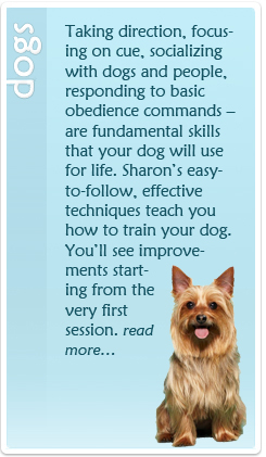 Dog_Training_Button