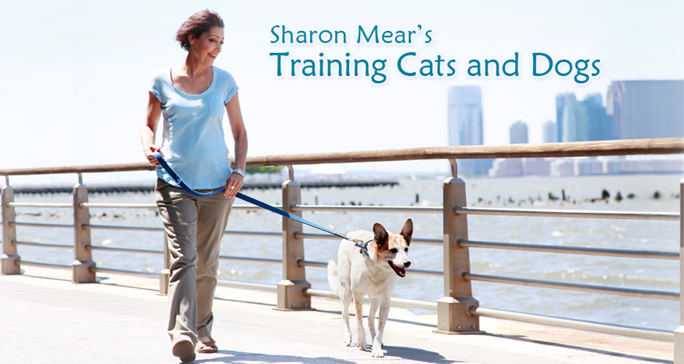 SharonWalkingPatch8
